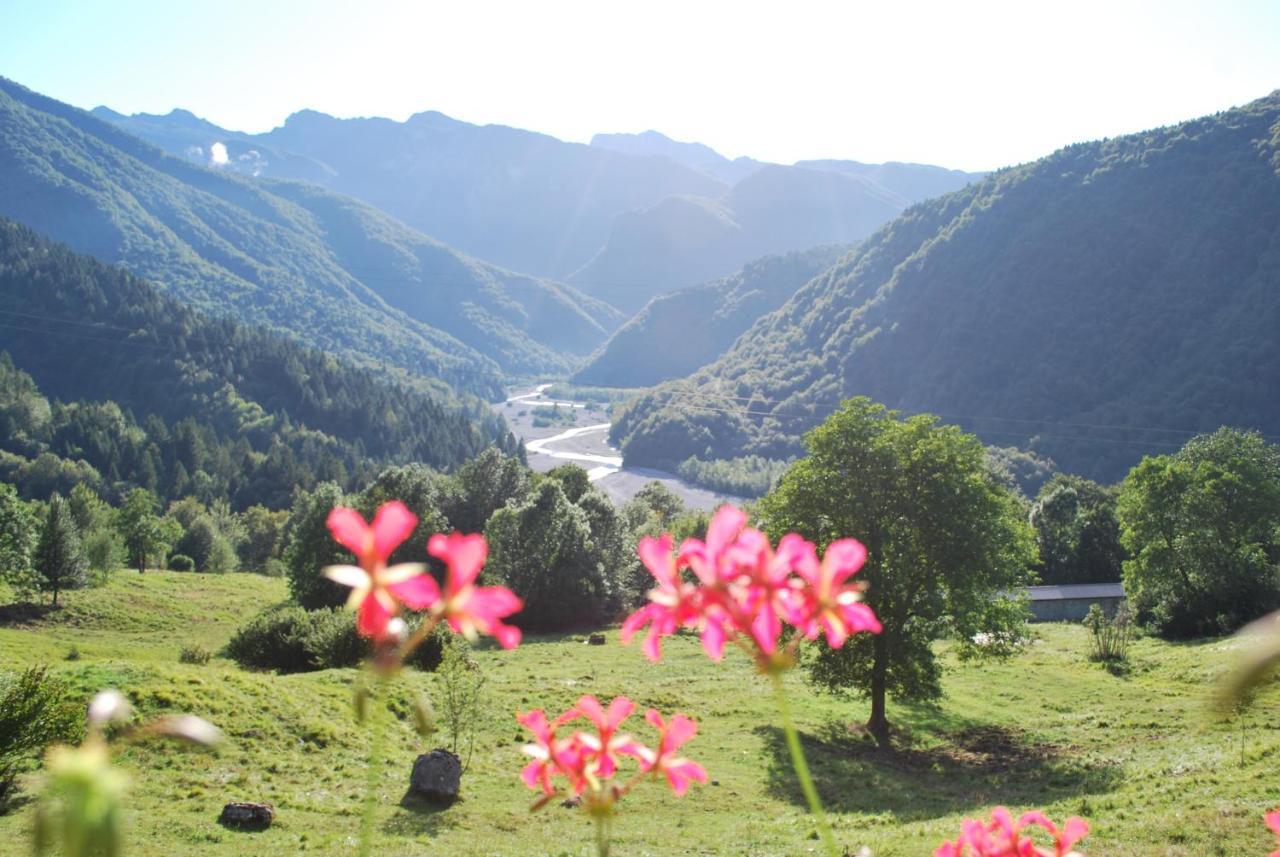 Rifugio Malga Grasia Caprizi ภายนอก รูปภาพ