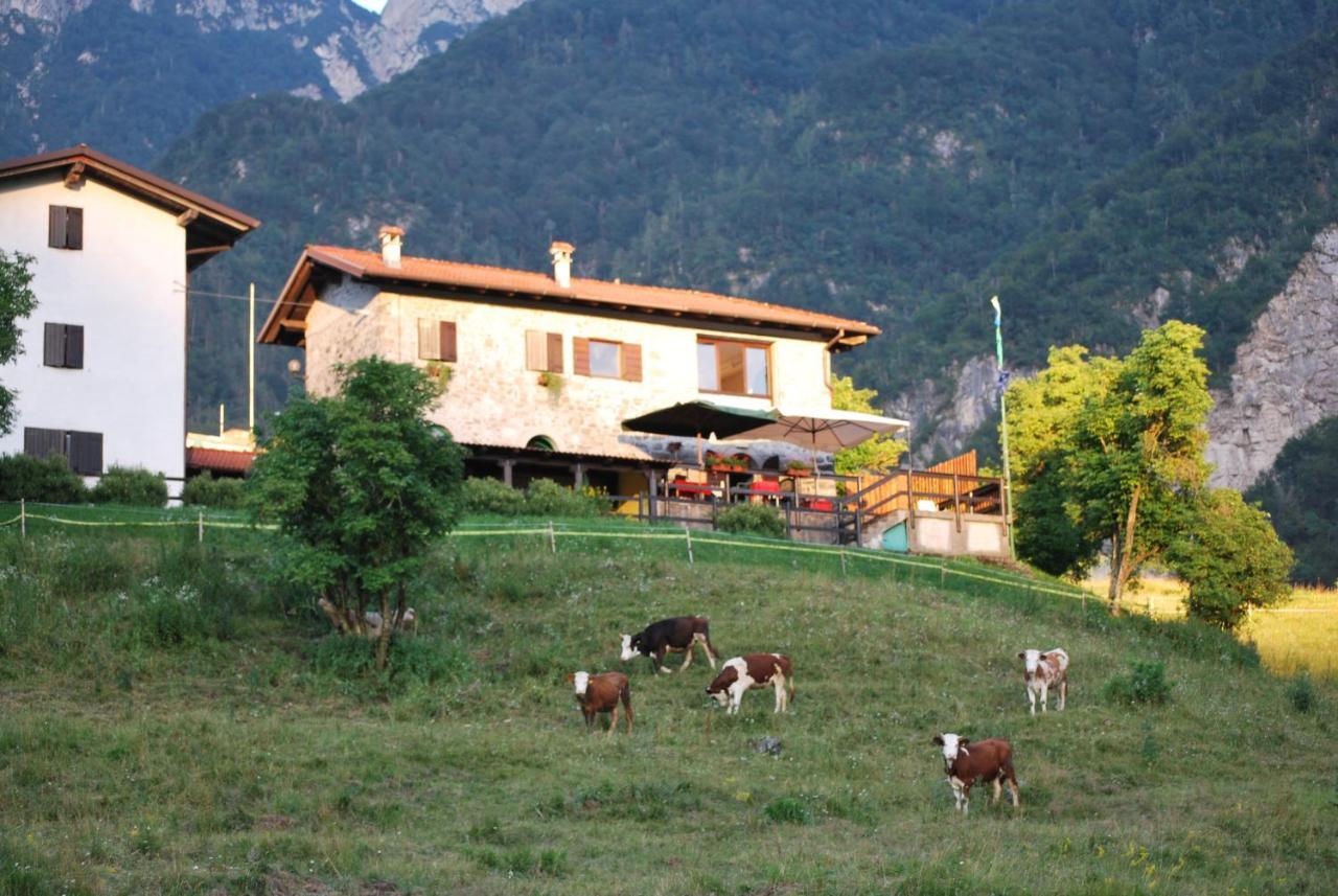 Rifugio Malga Grasia Caprizi ภายนอก รูปภาพ