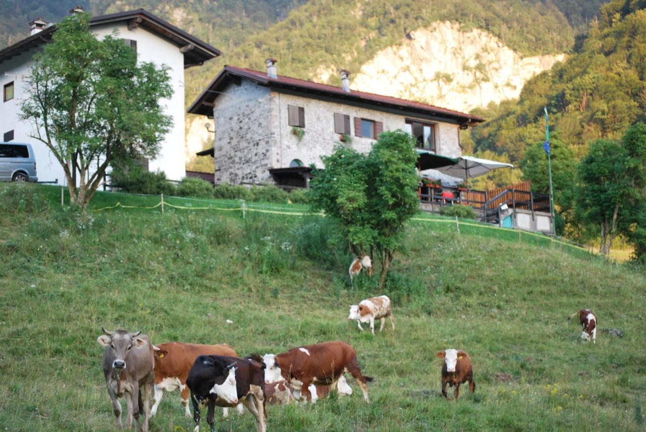 Rifugio Malga Grasia Caprizi ภายนอก รูปภาพ