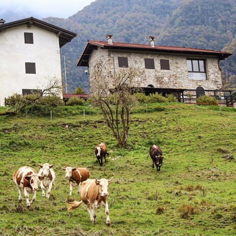Rifugio Malga Grasia Caprizi ภายนอก รูปภาพ